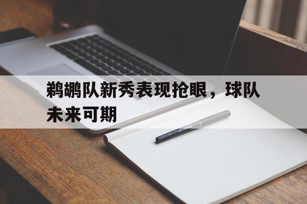鹈鹕队新秀表现抢眼，球队未来可期